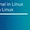 清除 Linux 歷史命令