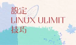 Featured image of post 調整 Linux 系統的最大打開的檔案數量