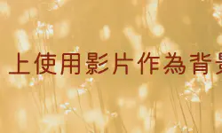 Featured image of post 使用影片作為 Ubuntu 的背景