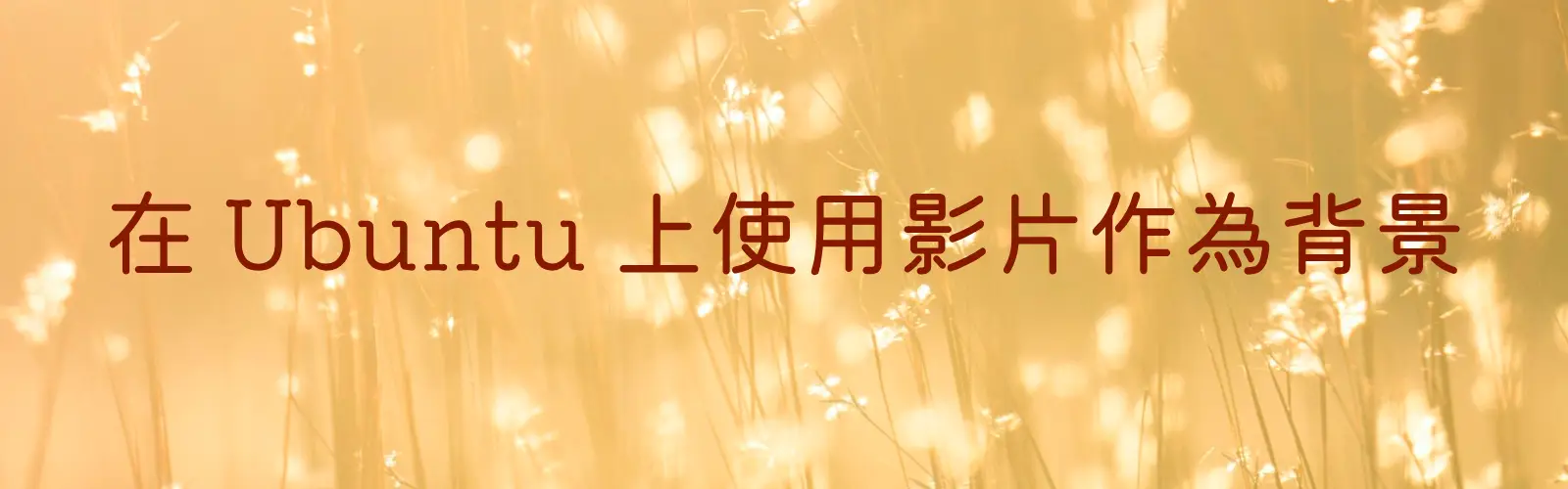 Featured image of post 使用影片作為 Ubuntu 的背景