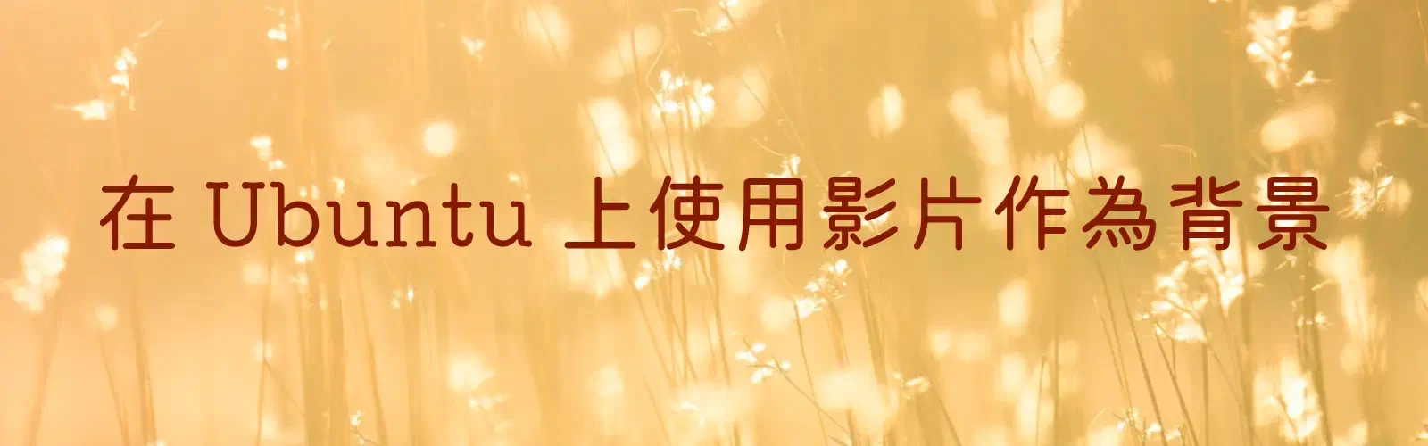 Featured image of post 使用影片作為 Ubuntu 的背景